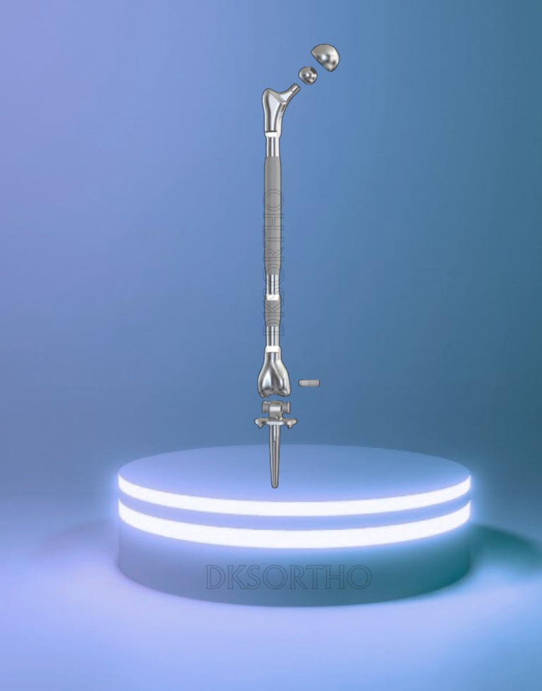 Total Femur Prosthesis System
